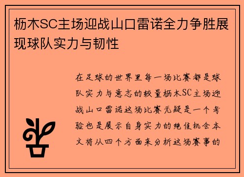 枥木SC主场迎战山口雷诺全力争胜展现球队实力与韧性