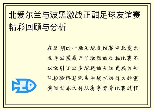 北爱尔兰与波黑激战正酣足球友谊赛精彩回顾与分析